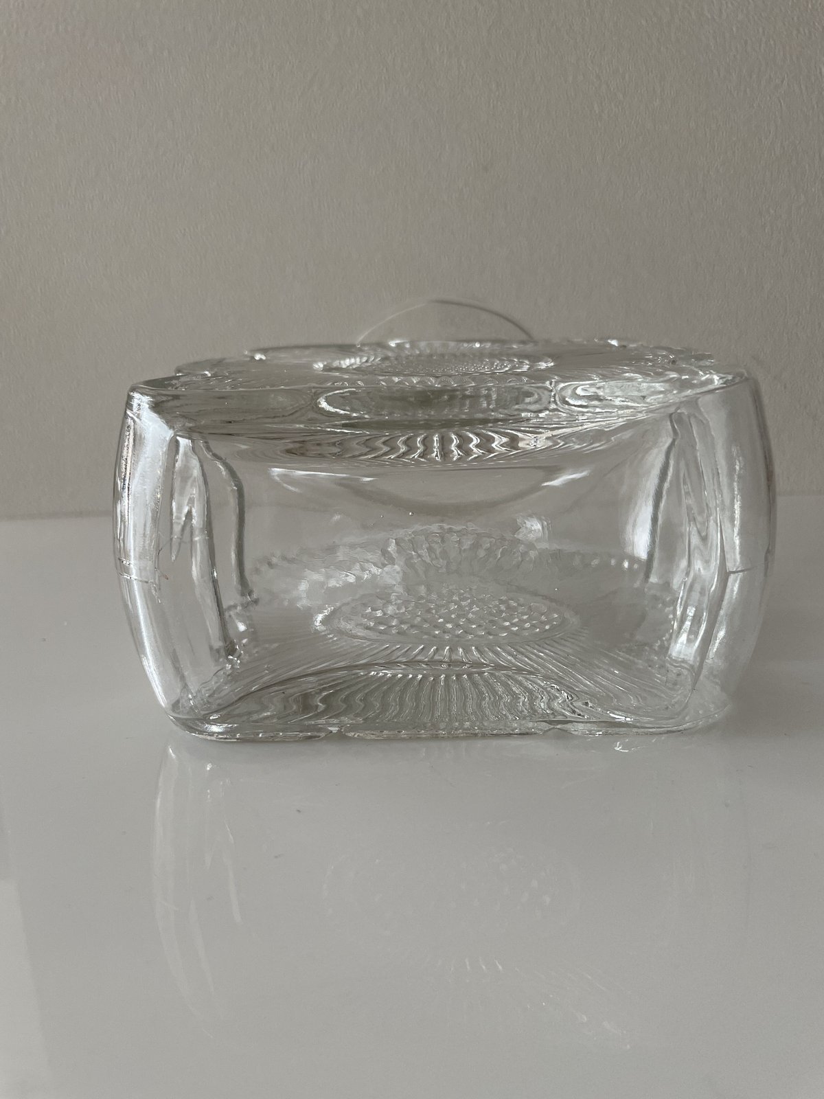 リーヒマエンラシ/タマラ・アラジン/アムレッティ/花瓶 【公式通販】