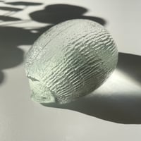 リーヒマエンラシ／タマラアラジン／Mesimarja／キャンドル