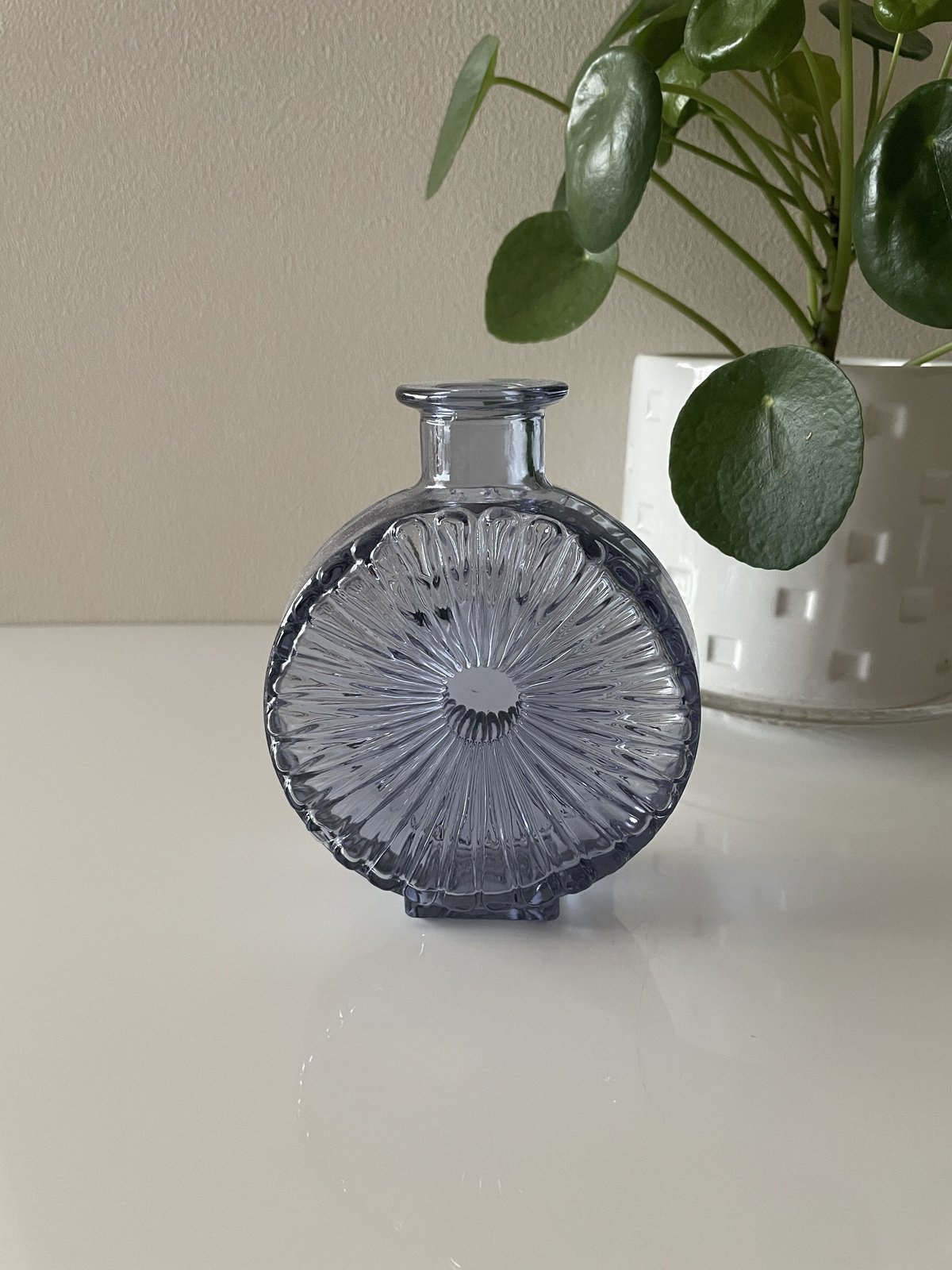 リーヒマエンラシ ヘレナティネル アウリンコプロ フラワーベース