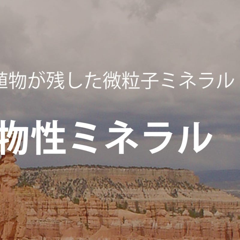 プレミアムミネラル 720ml | 自然食品さかい ミネラル＆グルテン