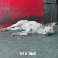 "Lost in Thailand" (送料無料)