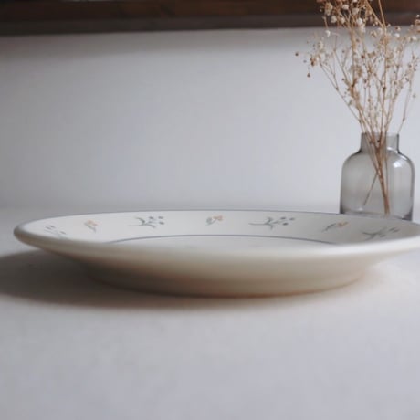 セントバーナードとお花のパスタ皿　7寸/St. Bernard and flower pasta dish