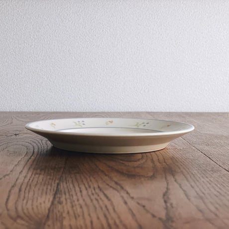 セントバーナードとお花のパスタ皿　7寸/St. Bernard and flower plate