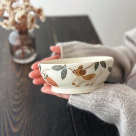 ボウルいろいろ/Various bowls