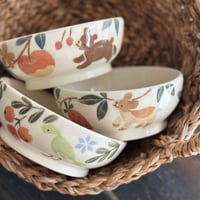 ボウルいろいろ/Various bowls