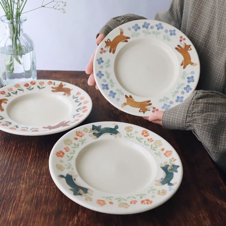 リム広皿いろいろ/Various wide-rimmed plates