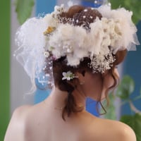 お客様写真
