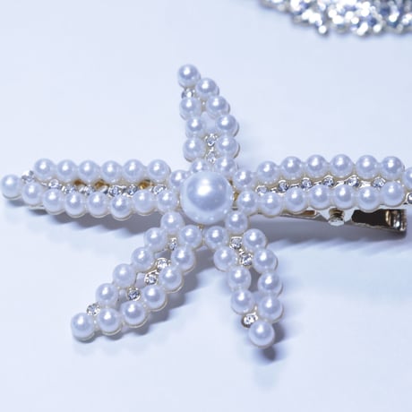 ヒトデ　クリップ✩‧*