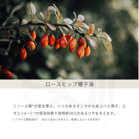 マホロドロップ　10ml