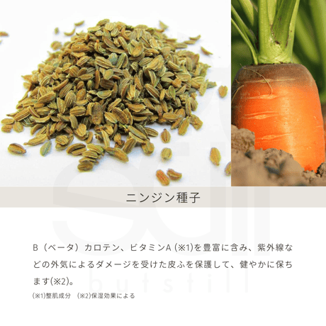 【各1本】マホロドロップ10ml・マホロドロップ　フィールオリエンタル10mlセット