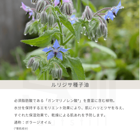 マホロドロップ　10ml
