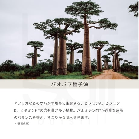 【各1本】マホロドロップ10ml・マホロドロップ　フィールオリエンタル10mlセット