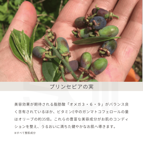 【各1本】マホロドロップ10ml・マホロドロップ　フィールオリエンタル10mlセット
