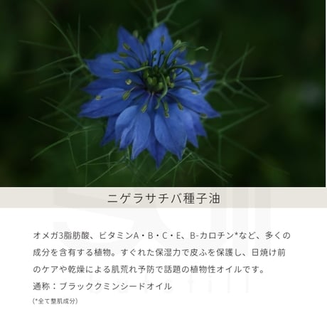 【各1本】マホロドロップ10ml・マホロドロップ　フィールオリエンタル10mlセット