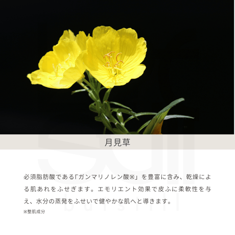 【各1本】マホロドロップ10ml・マホロドロップ　フィールオリエンタル10mlセット
