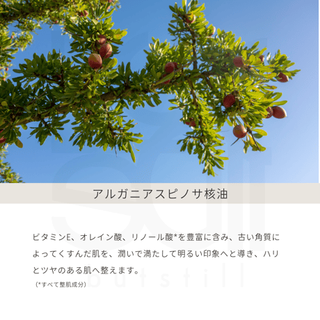 マホロドロップ　10ml