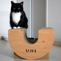 P/Q/R/S/T】お名前が入れられる！アルファベット型の猫の爪とぎ