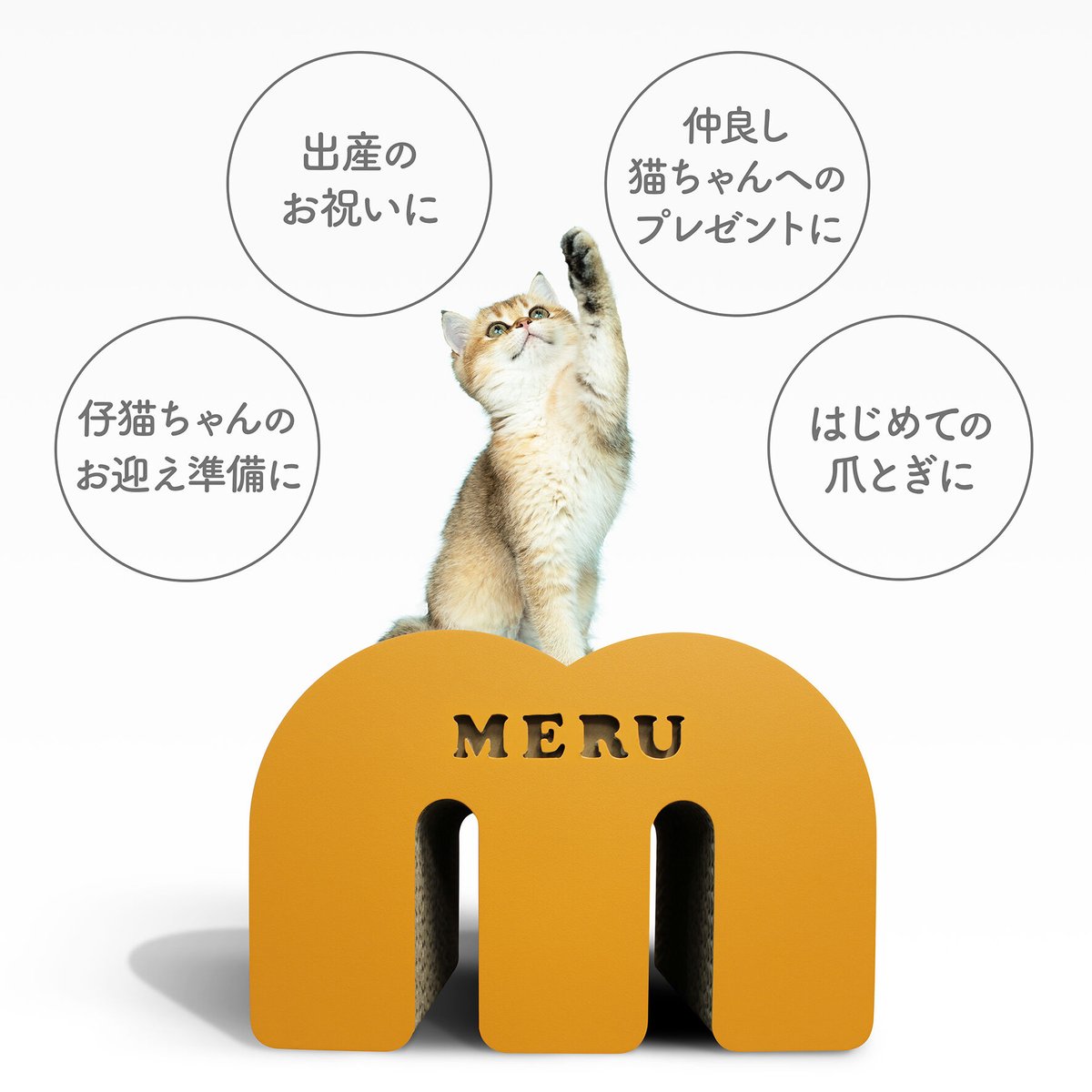猫の名前 お名前が入れられる！ちいさいサイズのアルファベット型の猫の爪