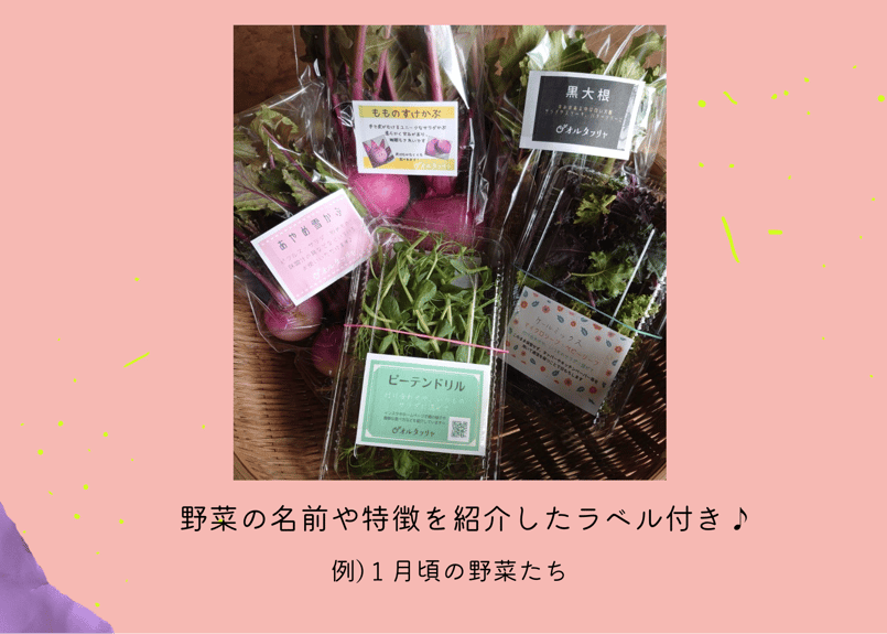 飲食店様限定 月4回 おまかせ定期便』 ☆ 10品以上＋ちょっぴりおまけ