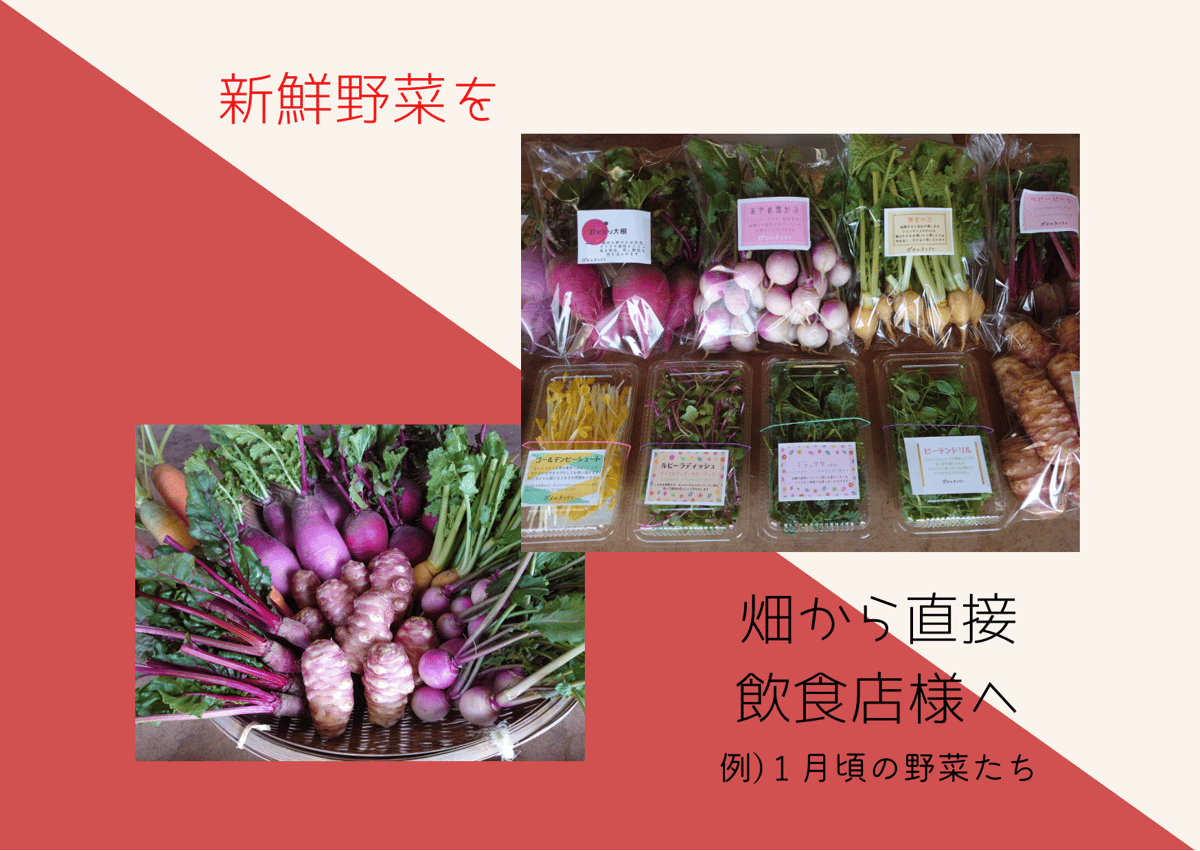 飲食店様限定 月4回 おまかせ定期便』 ☆ 10品以上＋ちょっぴりおまけ