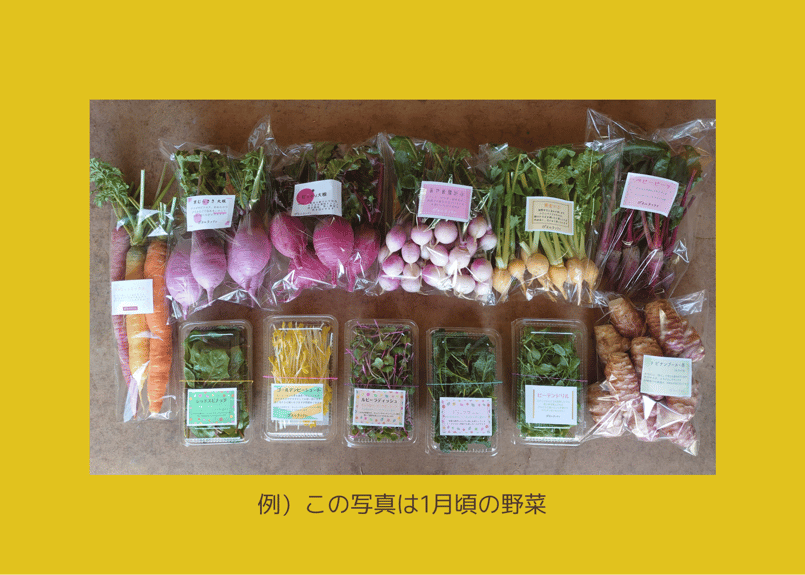 飲食店様限定 月4回 おまかせ定期便』 ☆ 10品以上＋ちょっぴりおまけ