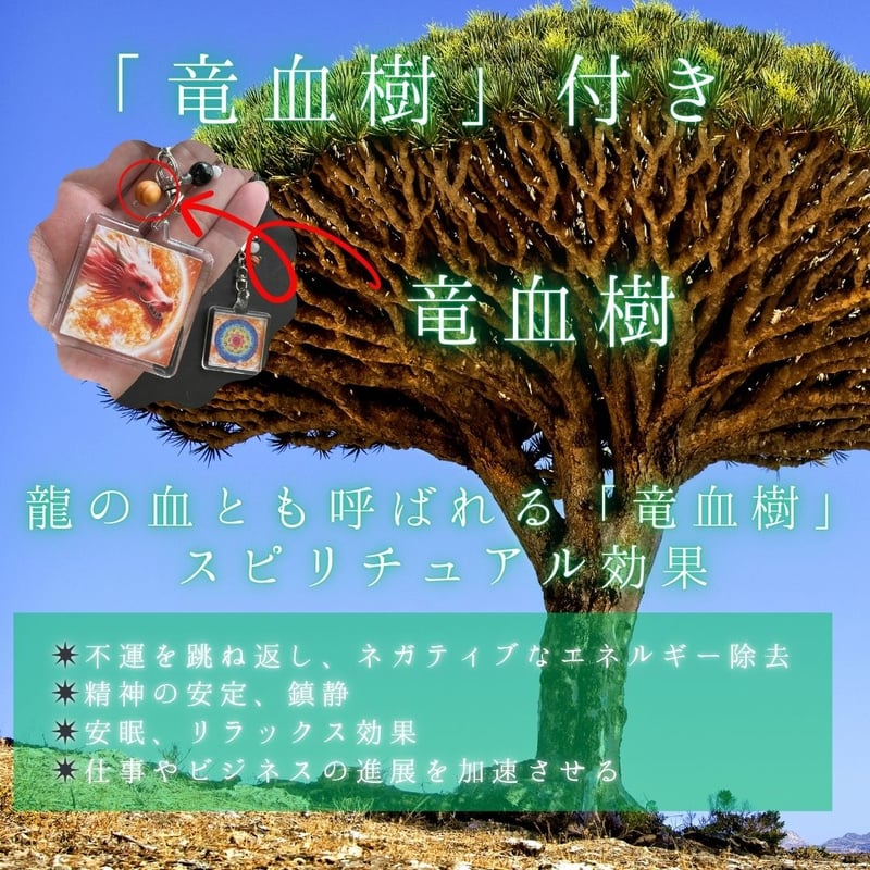 奇跡のお守り】龍体文字 カタカムナ 古代風水開運画 額装込 祈祷済 Amazon.