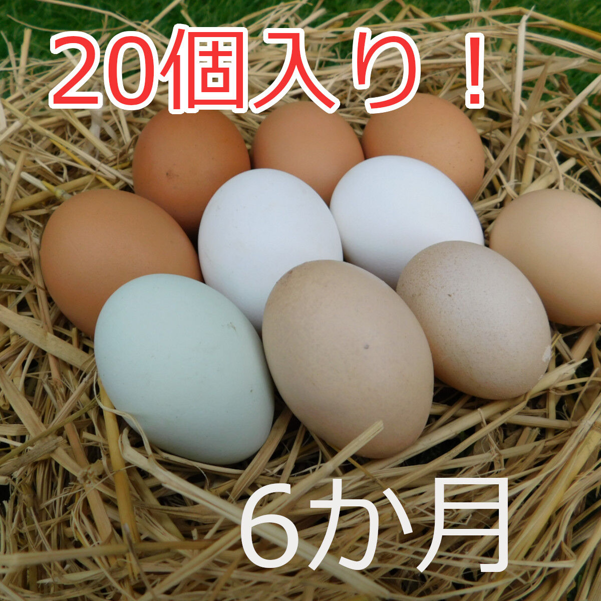 留意事項あり 6か月定期便・送料込 のびのびタマゴ アソート20個 留意事項あり 6か月定期便・送料込 のびのびタマゴ アソート20個
