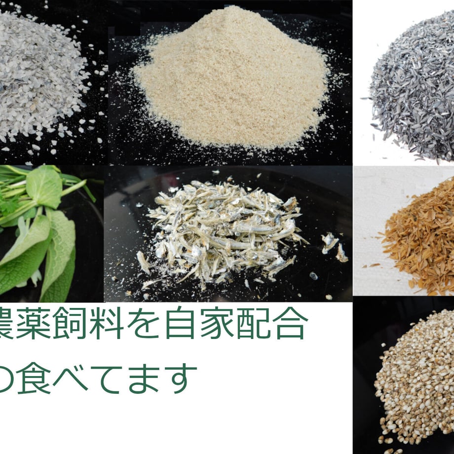 6295eecac359a84f7fec516b