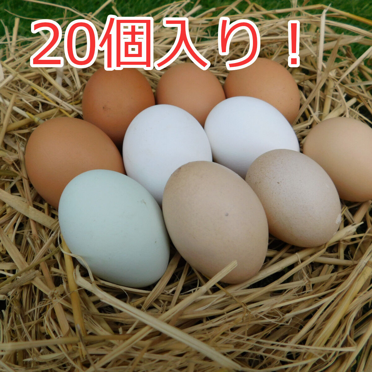 卵ページ 放し飼い・有精卵】のびのびタマゴ アソート20個入り【たまご