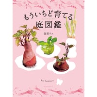 【中古】 ＭＡＤＥ　ＩＮ　ＪＡＰＡＮ 素のものたち/アノニマ・スタジオ/内田鋼一 Amazon.co.jp: MADE IN JAPAN: 素のものたち : 内田 鋼一, 島