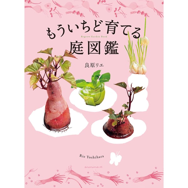 かがくのとも 春の訪れ はるですよ つくし はっぱのあかちゃん 福音館