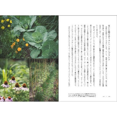 地球再生型生活記　―土を作り、いのちを巡らす、パーマカルチャーライフデザイン― 　／　四井真治　【852】