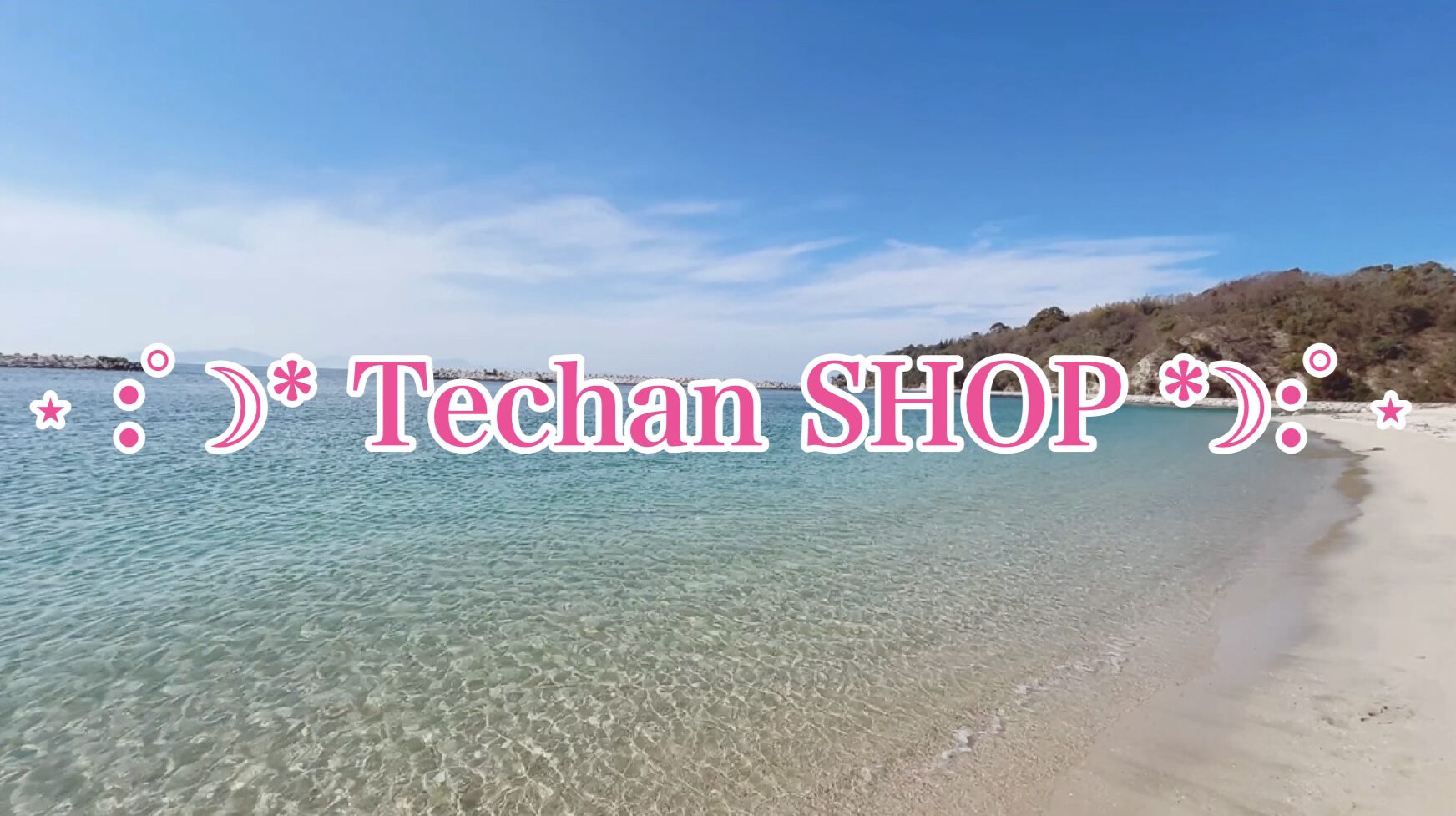 Techan SHOP