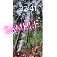 【お守り待ち受け⑨】あなたは拡大🌳成長します🌿