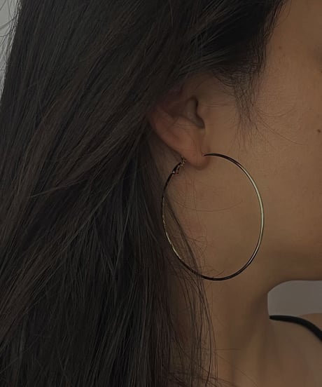 New Hoop Earrings