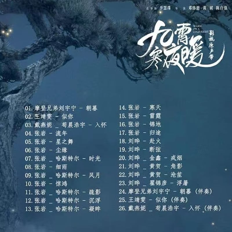 中国ドラマ『九霄寒夜暖～想いの温度差～』OST/CD 李一桐 26曲 | SKM STORE