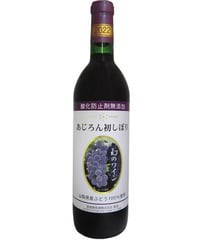蒼龍葡萄酒　酸化防止剤無添加あじろん初しぼり　2022