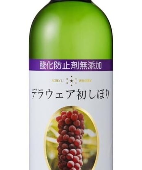 【在庫薄】蒼龍葡萄酒　酸化防止剤無添加デラウェア初しぼり　2023
