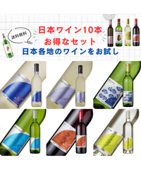 【在庫薄】日本ワイン10本お得な飲み比べセット