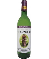 蒼龍葡萄酒　酸化防止剤無添加デラウェア初しぼり　2021