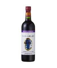 【在庫わずか】蒼龍葡萄酒　酸化防止剤無添加ベーリーA初しぼり　2023
