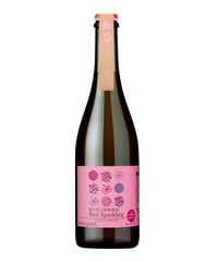 酸化防止剤無添加レッドスパークリング