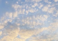 中野さま