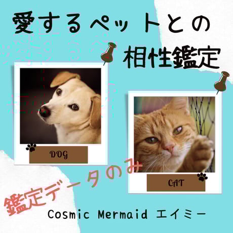 愛するペットとの相性鑑定～鑑定データのみ～