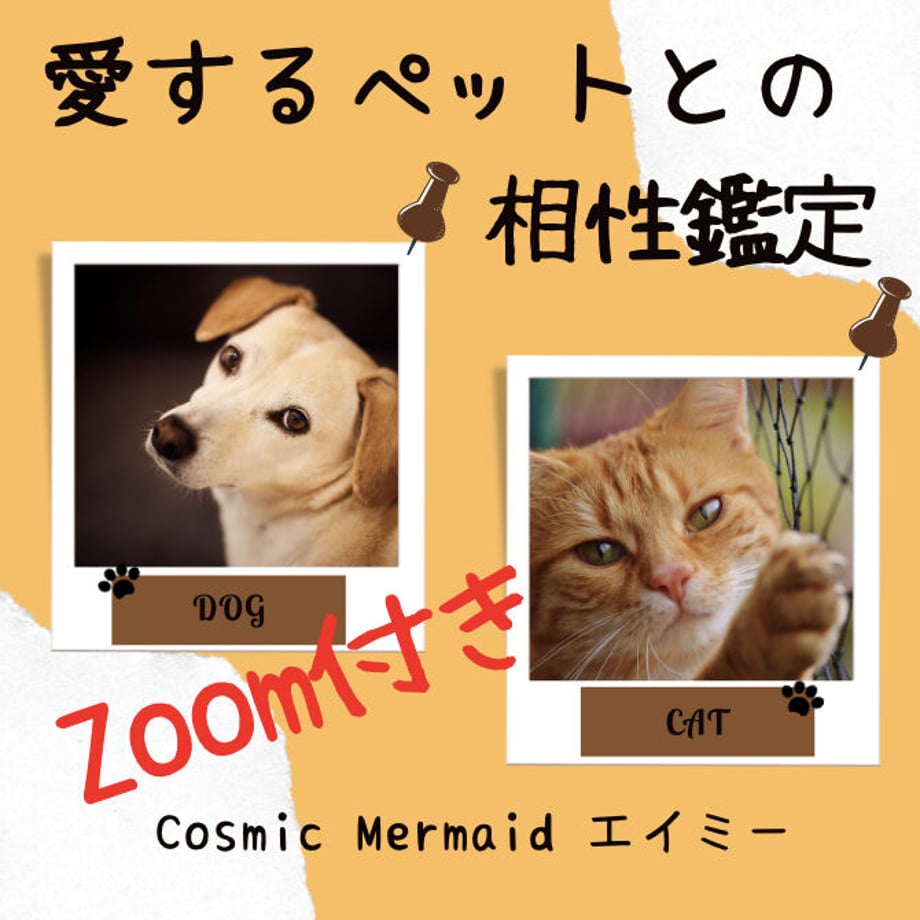 6225a4c1d085ee040cb19d4a