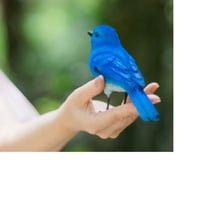 青い鳥ナビゲート付き星からのメッセージ★トライアルコース（１回／45分）