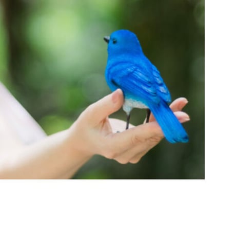青い鳥ナビゲート付き星からのメッセージ★12ヶ月コース（開始月・3ヶ月・6ヶ月・9ヶ月・12ヶ月の計5回／各45分）