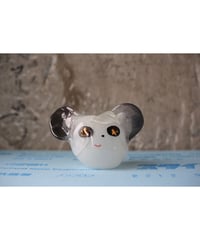 pipi