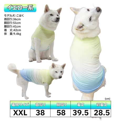 COOL+MOSCAPE リフレッシングタンク XXL 〜10kg 在庫限り