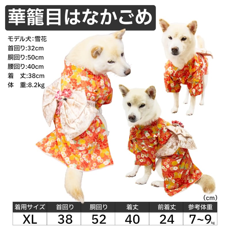 らいおん　犬服　犬用お着物 犬 服 犬服 着物 柴犬 中型犬 人気 愛犬用袴 七五三 お正月 結婚